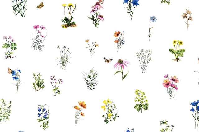  Bavlněná látka metráž Voňavá louka š.160